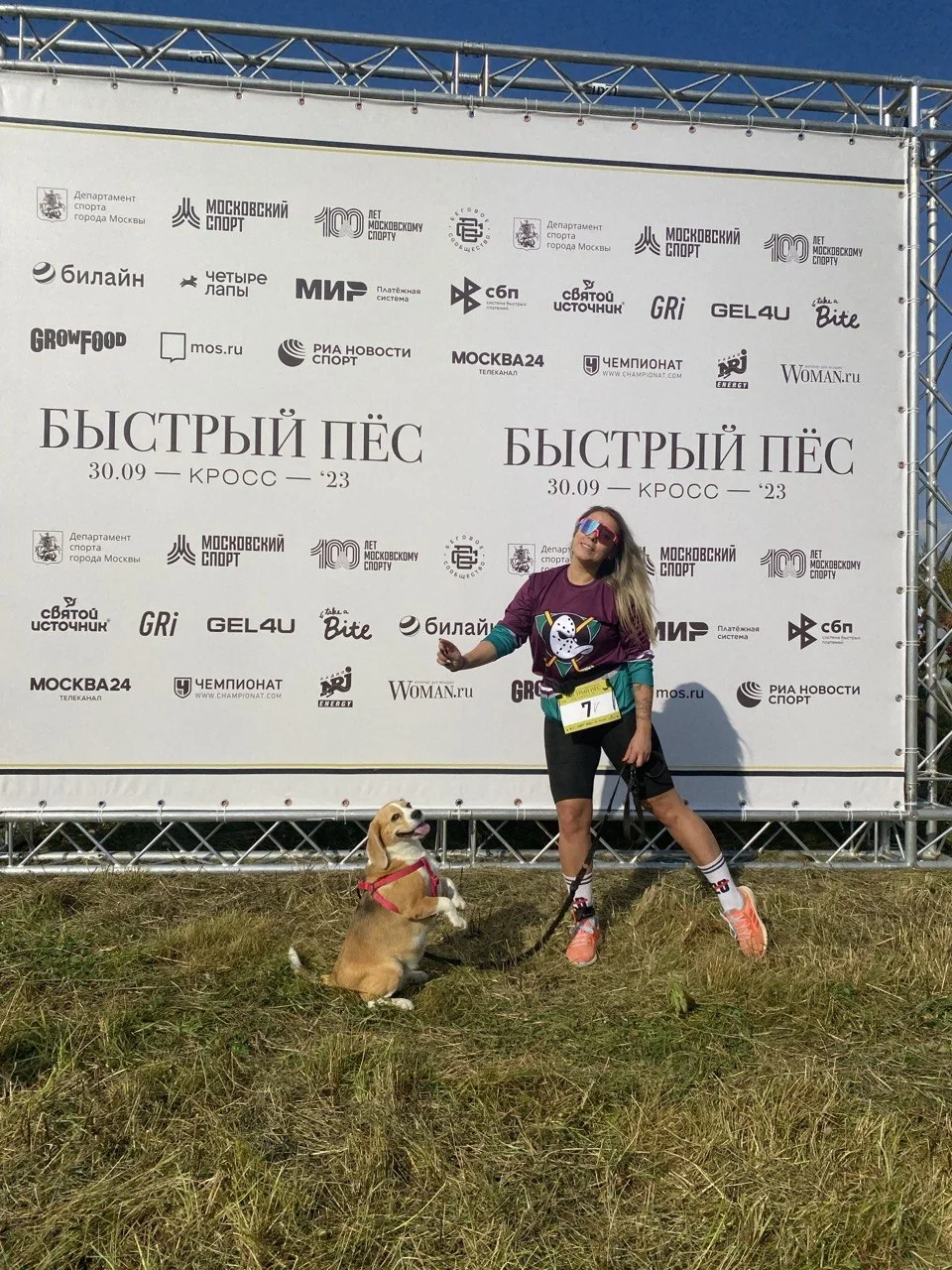 бигль порода собак